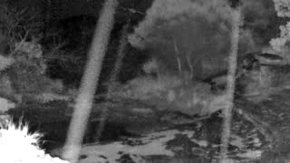 Still 3 from this detection