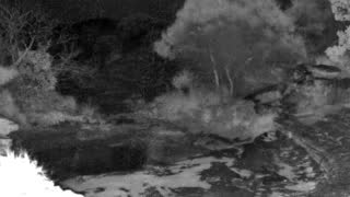 Still 2 from this detection