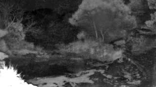 Still 3 from this detection