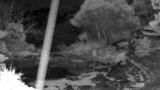 Still 2 from this detection