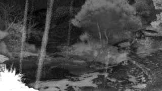 Still 1 from this detection