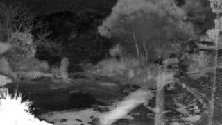 Still 2 from this detection