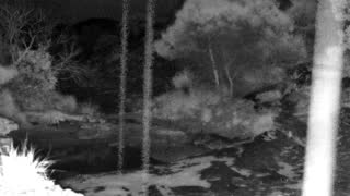 Still 2 from this detection