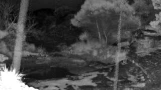 Still 3 from this detection