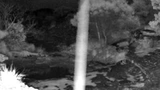 Still 3 from this detection