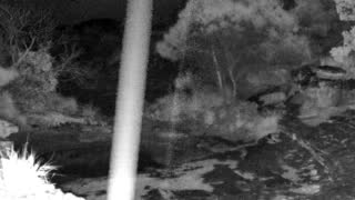 Still 2 from this detection