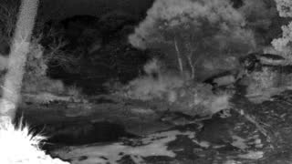 Still 2 from this detection