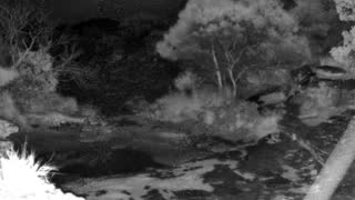 Still 2 from this detection