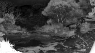 Still 1 from this detection