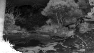 Still 2 from this detection