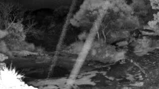 Still 1 from this detection