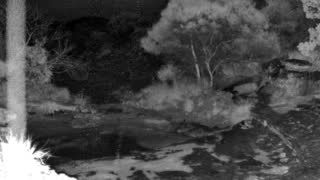Still 1 from this detection