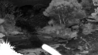 Still 2 from this detection