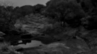 Still 1 from this detection