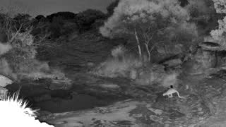 Still 2 from this detection