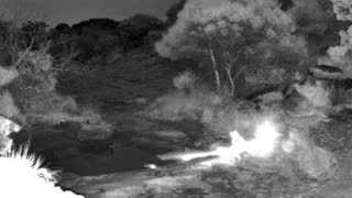 Still 2 from this detection