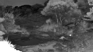 Still 3 from this detection