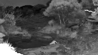 Still 1 from this detection
