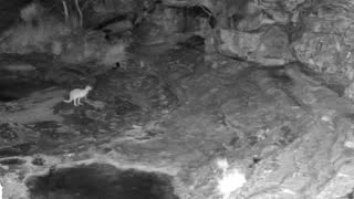 Still 3 from this detection
