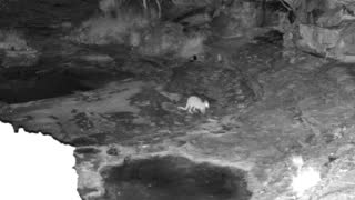 Still 2 from this detection