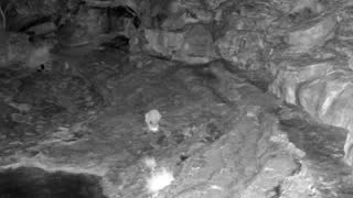 Still 2 from this detection
