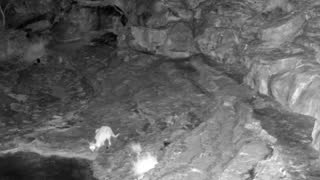 Still 3 from this detection