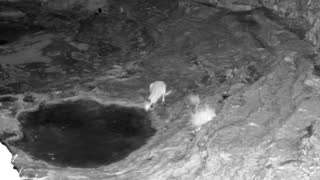 Still 1 from this detection