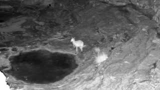 Still 2 from this detection