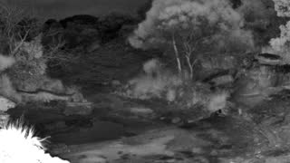 Still 1 from this detection