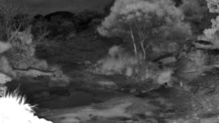 Still 3 from this detection