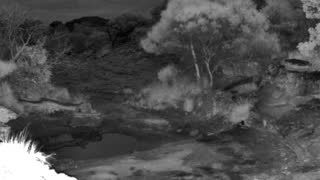 Still 1 from this detection