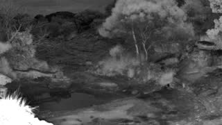 Still 2 from this detection