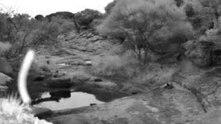 Still 1 from this detection