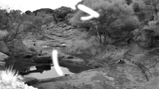 Still 1 from this detection