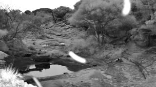 Still 1 from this detection