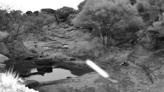 Still 1 from this detection