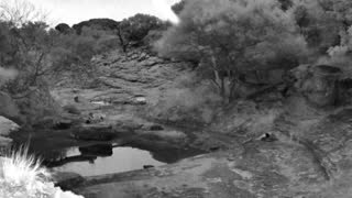 Still 2 from this detection