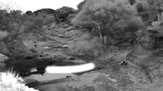 Still 1 from this detection