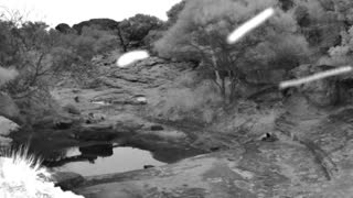Still 2 from this detection