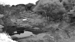 Still 2 from this detection