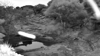 Still 1 from this detection