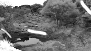 Still 2 from this detection
