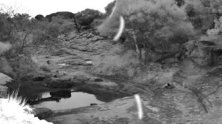 Still 3 from this detection