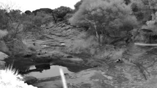Still 2 from this detection
