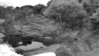 Still 1 from this detection