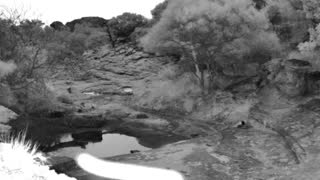 Still 3 from this detection