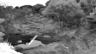 Still 1 from this detection