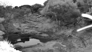 Still 2 from this detection