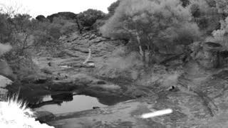 Still 1 from this detection