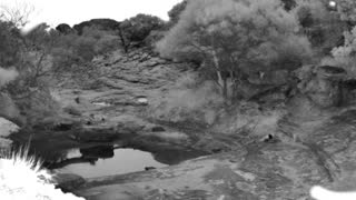 Still 2 from this detection